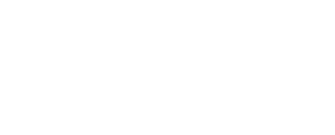 Zenith BF, Take Your Business To New Heights